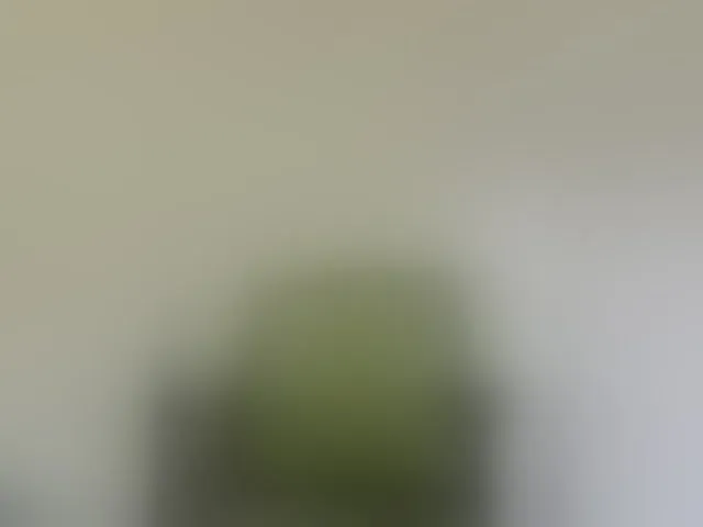 Live sex webcam photo for Reife-dame #293783377