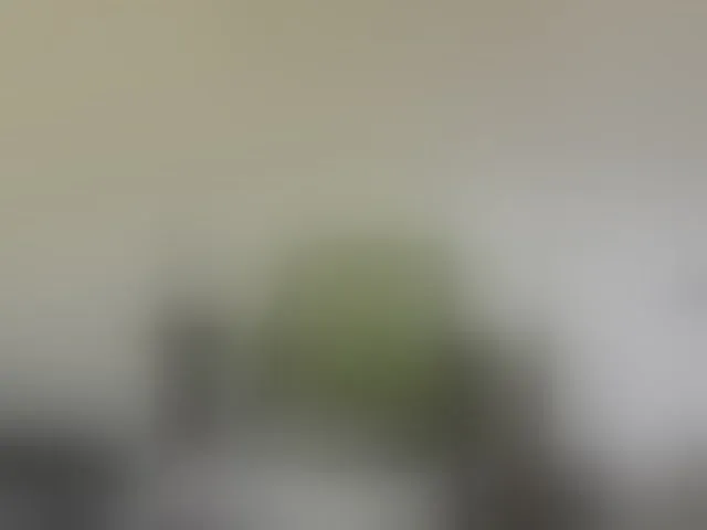 Live sex webcam photo for Reife-dame #293814211