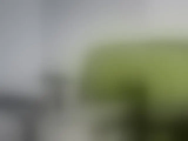 Live sex webcam photo for Reife-dame #293822720