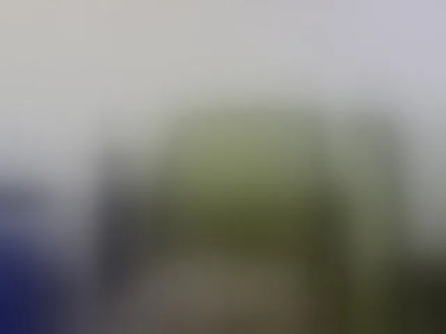 Live sex webcam photo for Reife-dame #293831103