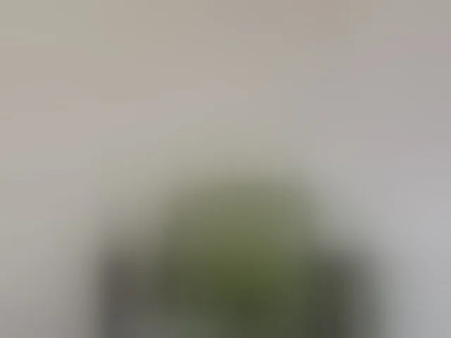 Live sex webcam photo for Reife-dame #294078946