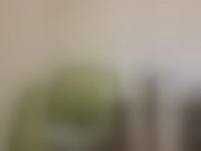 Live sex webcam photo for Reife-dame #294092526