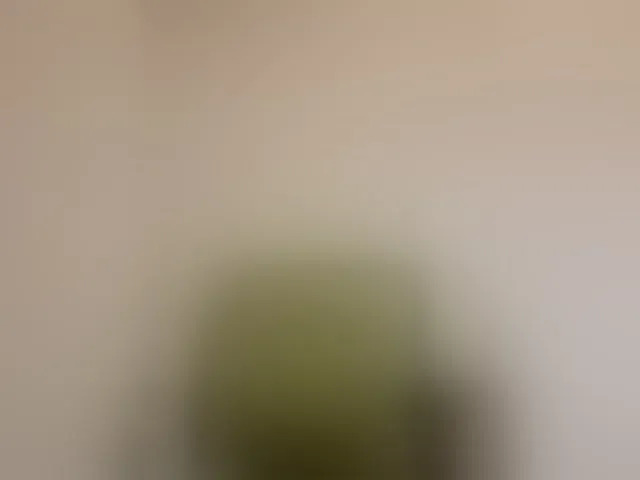 Live sex webcam photo for Reife-dame #294178466