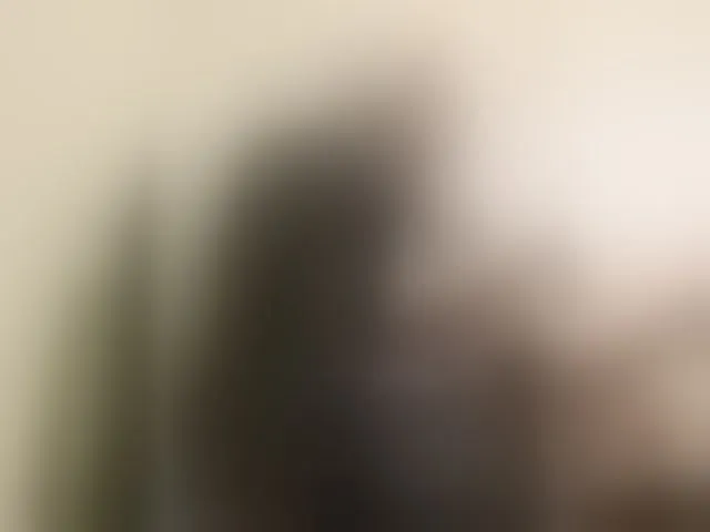 Live sex webcam photo for Reife-dame #294305056
