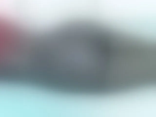 Live sex webcam photo for Rein20 #292490726
