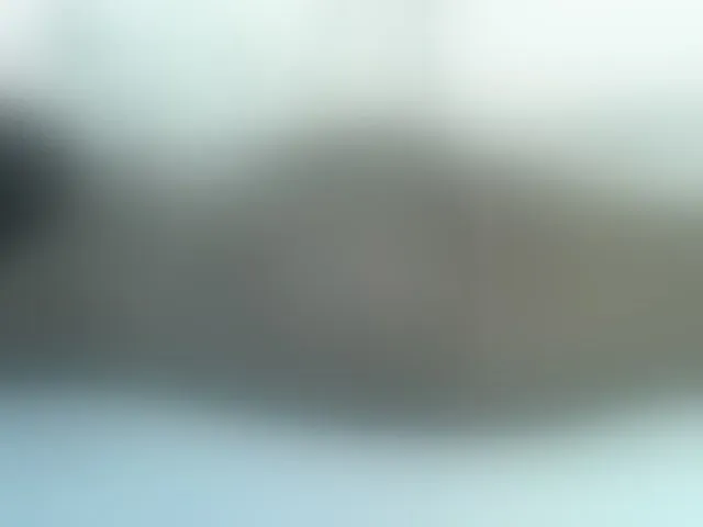 Live sex webcam photo for Rein20 #292497253