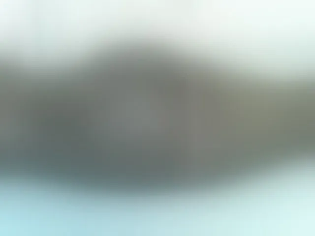 Live sex webcam photo for Rein20 #292547544