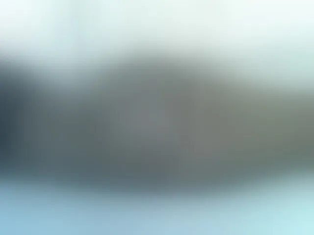 Live sex webcam photo for Rein20 #292563047