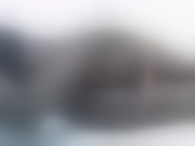 Live sex webcam photo for Rein20 #292671792