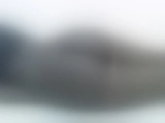 Live sex webcam photo for Rein20 #292777180