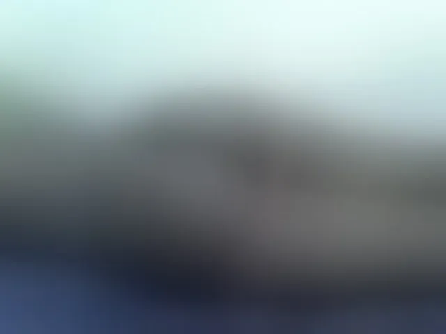 Live sex webcam photo for Rein20 #293028267
