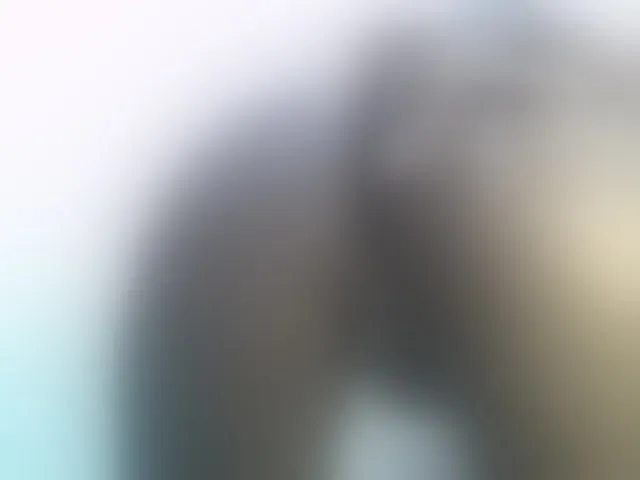 Live sex webcam photo for Rein20 #293439004