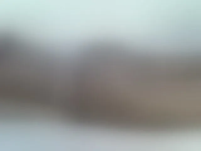 Live sex webcam photo for Rein20 #293602067
