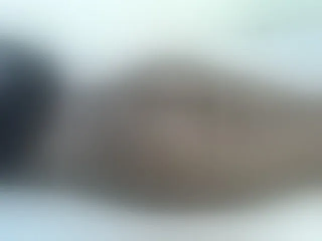 Live sex webcam photo for Rein20 #294140047