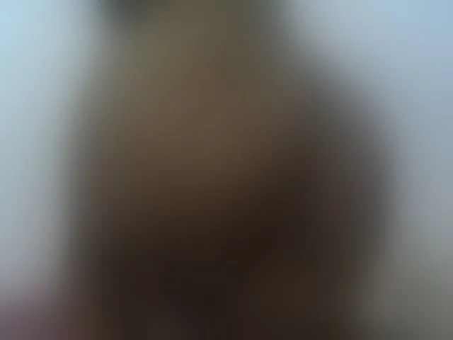 Live sex webcam photo for Reine2delice #292338162
