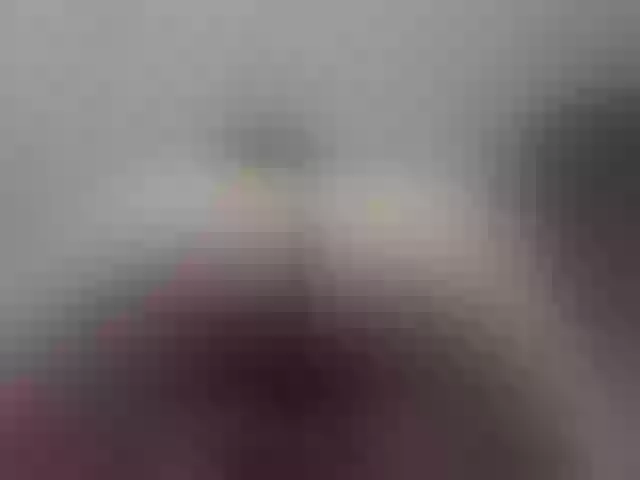Live sex webcam photo for Rennaaa #276289534