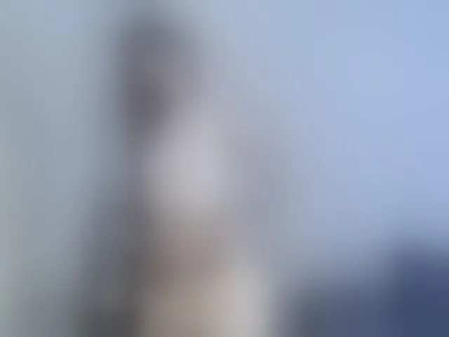 Live sex webcam photo for RevySadashiTrue #292837609