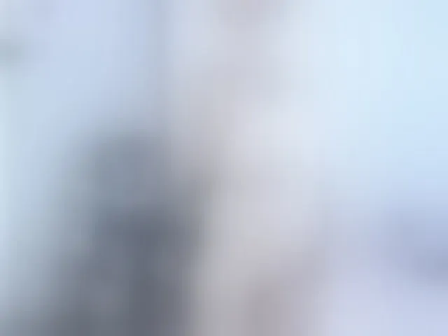 Live sex webcam photo for RevySadashiTrue #293557451