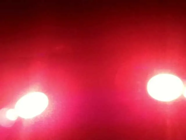 Live sex webcam photo for Rhinoryder #275908250