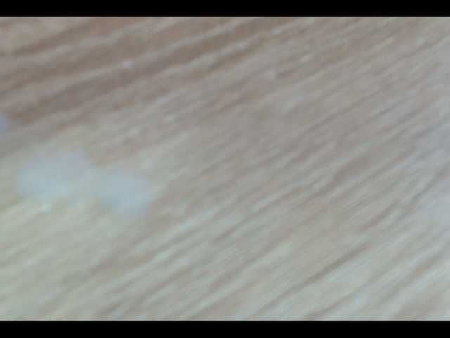 Live sex webcam photo for Richy87111 #277583937