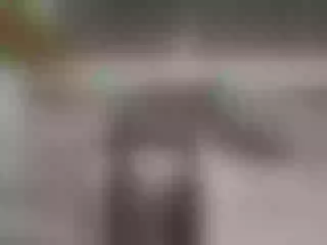 Live sex webcam photo for RileyRoxx #290242005