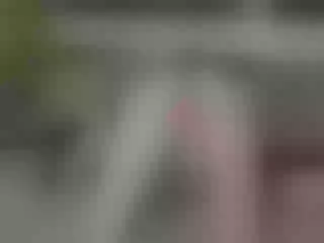 Live sex webcam photo for RileyRoxx #290315507