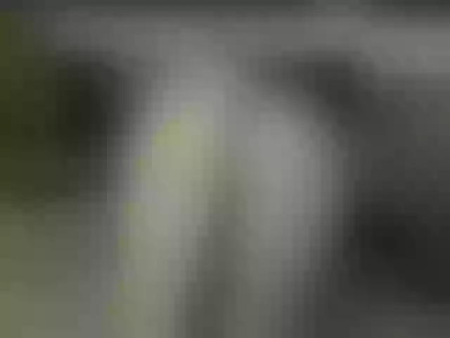 Live sex webcam photo for RileyRoxx #290340470