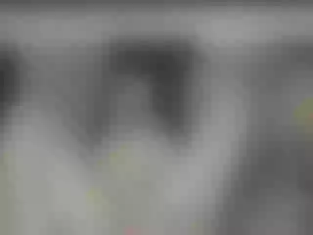 Live sex webcam photo for RileyRoxx #290465853