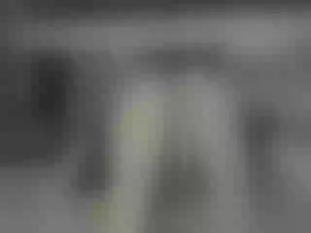 Live sex webcam photo for RileyRoxx #290513068