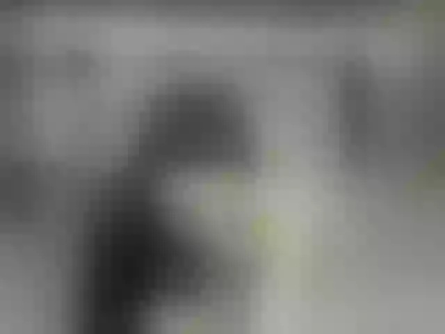 Live sex webcam photo for RileyRoxx #291588294