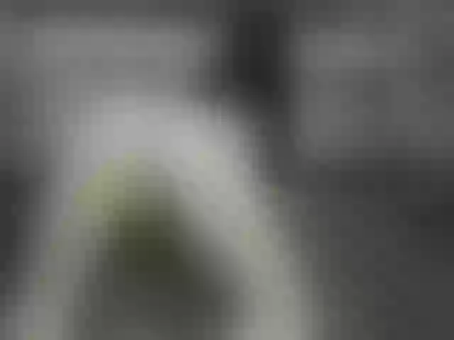 Live sex webcam photo for RileyRoxx #291783753