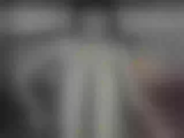 Live sex webcam photo for RileyRoxx #291973790