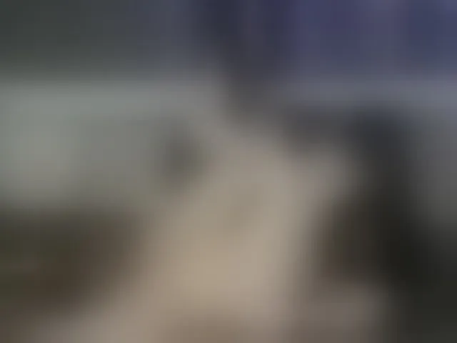 Live sex webcam photo for RileyRoxx #292354600