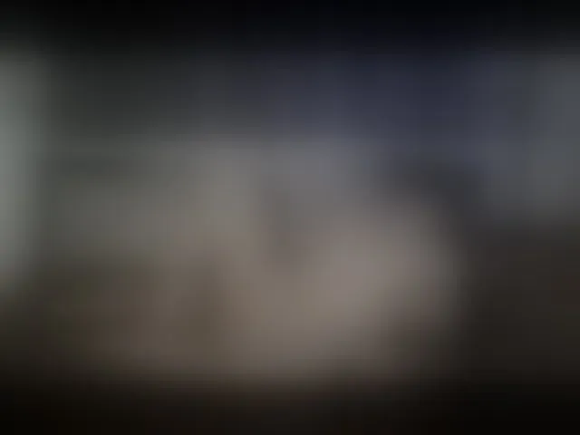 Live sex webcam photo for RileyRoxx #292361835