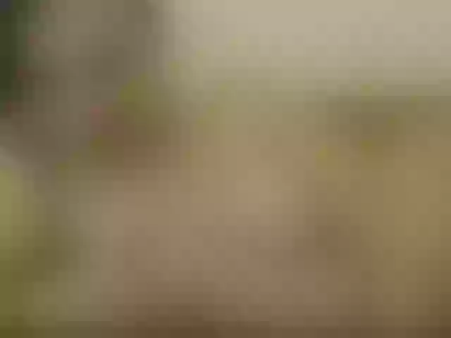 Live sex webcam photo for Rimmyspicecat #272342760