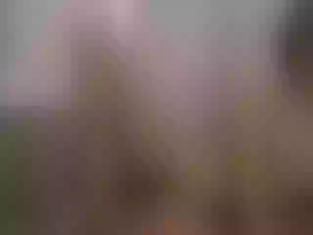 Live sex webcam photo for Rin-Skylar #291160621