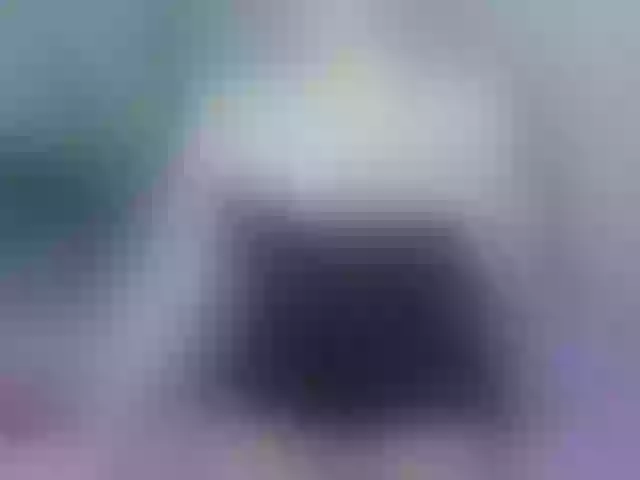 Live sex webcam photo for RiraRita #292114576