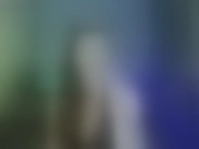 Live sex webcam photo for RitaRoter #293637891