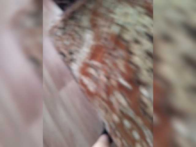 Live sex webcam photo for Ritm2222 #276577370