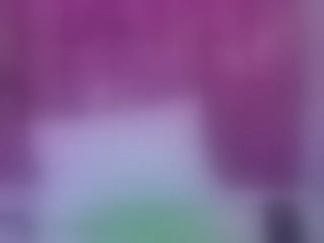 Live sex webcam photo for Rizantella #293506311