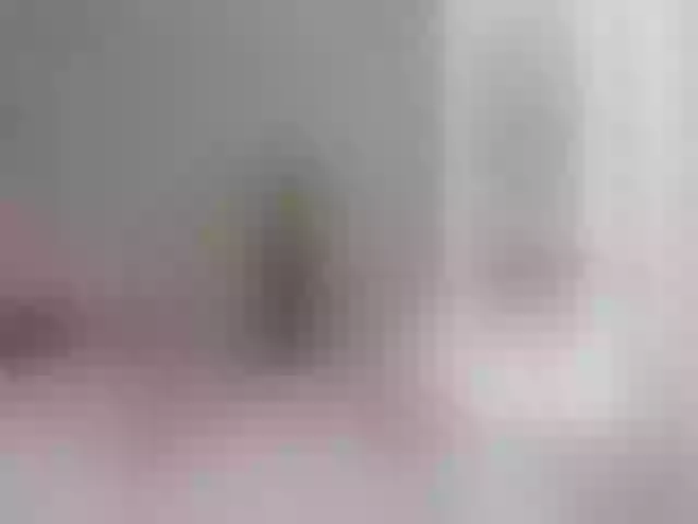 Live sex webcam photo for RocioTorres #276228574