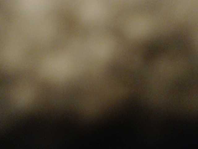 Live sex webcam photo for RoctumXL #276539238