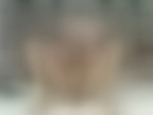 Live sex webcam photo for RomanCartier #277785386