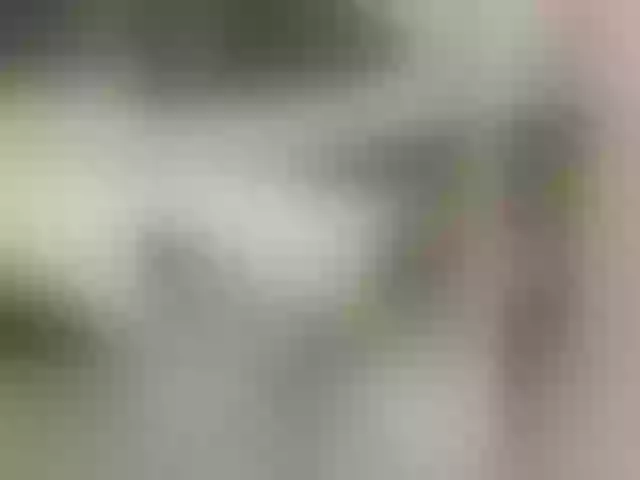 Live sex webcam photo for Romix123 #275983118