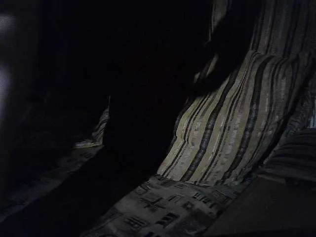 Live sex webcam photo for Romix123 #276542874