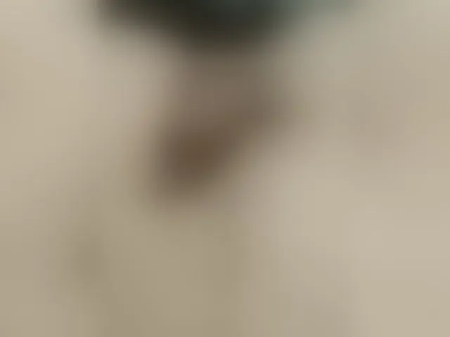 Live sex webcam photo for Romzes-3-86 #293582465