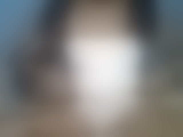 Live sex webcam photo for Rose-Bler #294234621