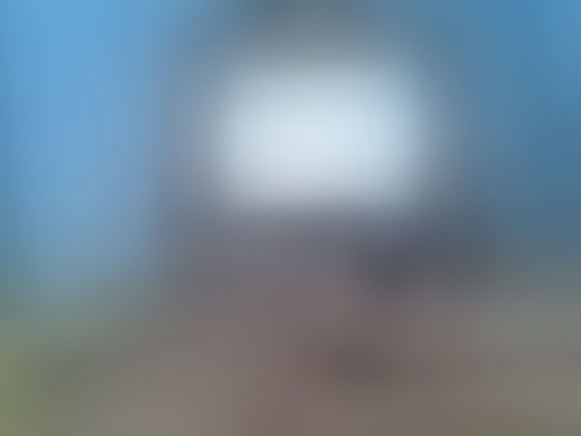 Live sex webcam photo for Rose-Bler #294293810