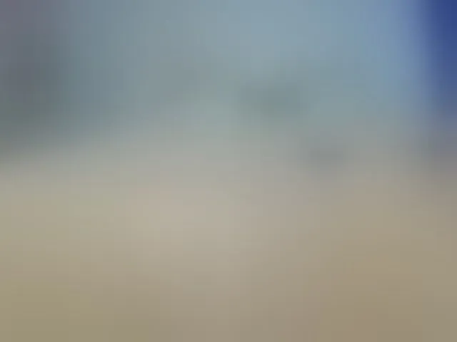 Live sex webcam photo for Rosea #293018637