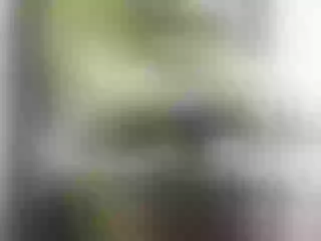 Live sex webcam photo for Rosiah2 #289723940